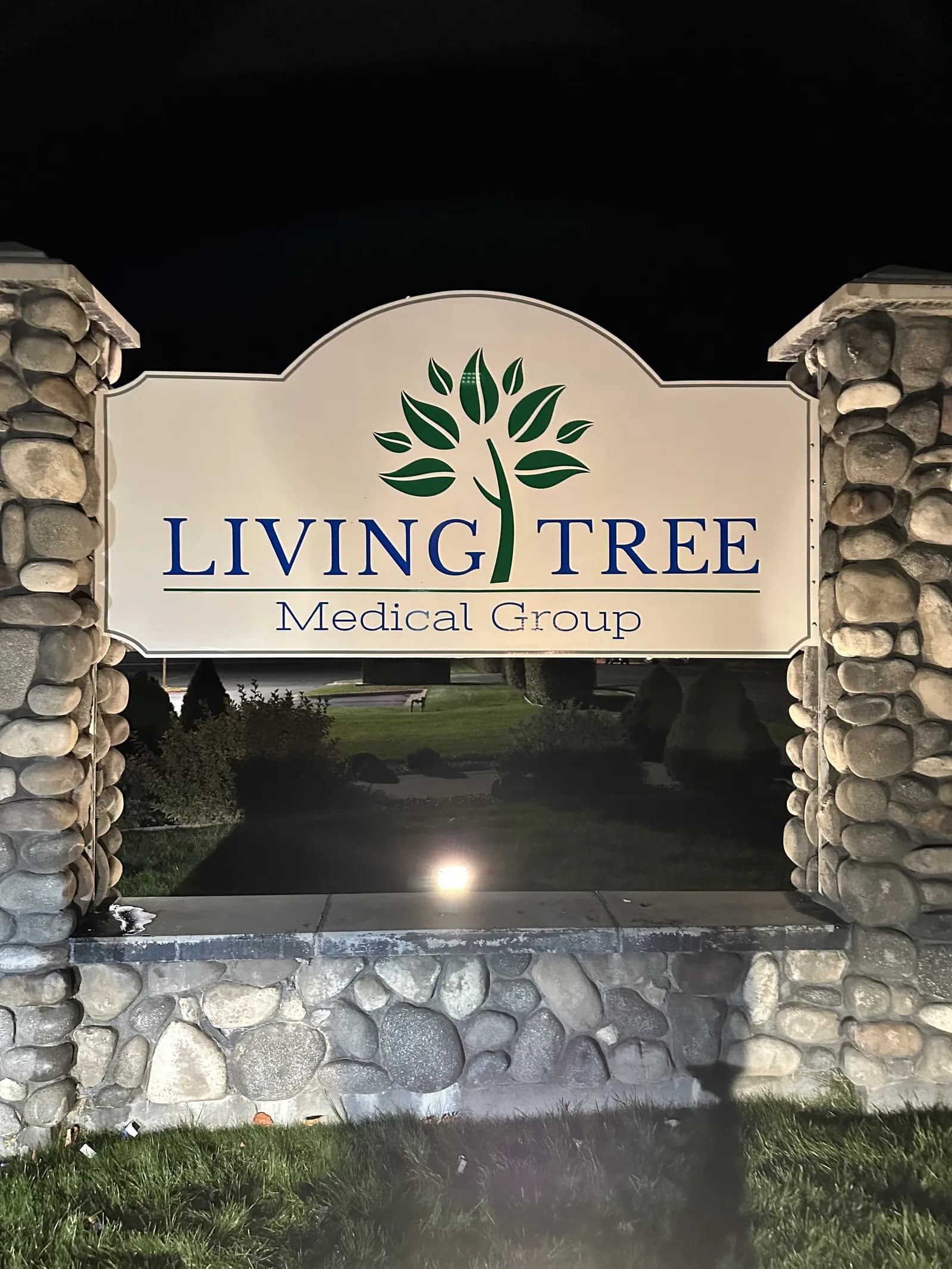 Living Tree Medical Group — Monument Sign at Night — Externally Lit Panel Between Stone Pillars
